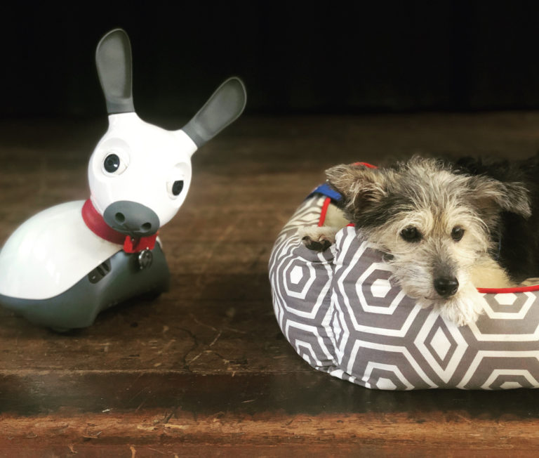 Canine Robots Replacing Real Therapy Dogs