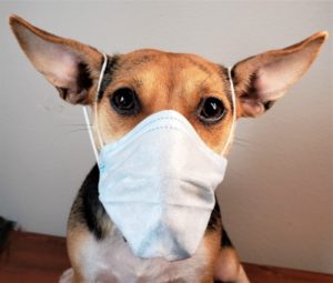 Deb Neufeld Head Image 2