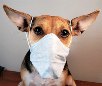 Deb Neufeld Head Image 2