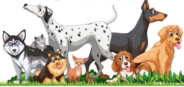 1 in 4 Think Walking Dogs Every Day Should Be Legally Required
